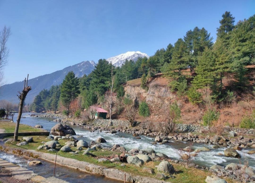 New Relax Inn, Pahalgam, 2 Km From Lidder Valley Eksteriør bilde